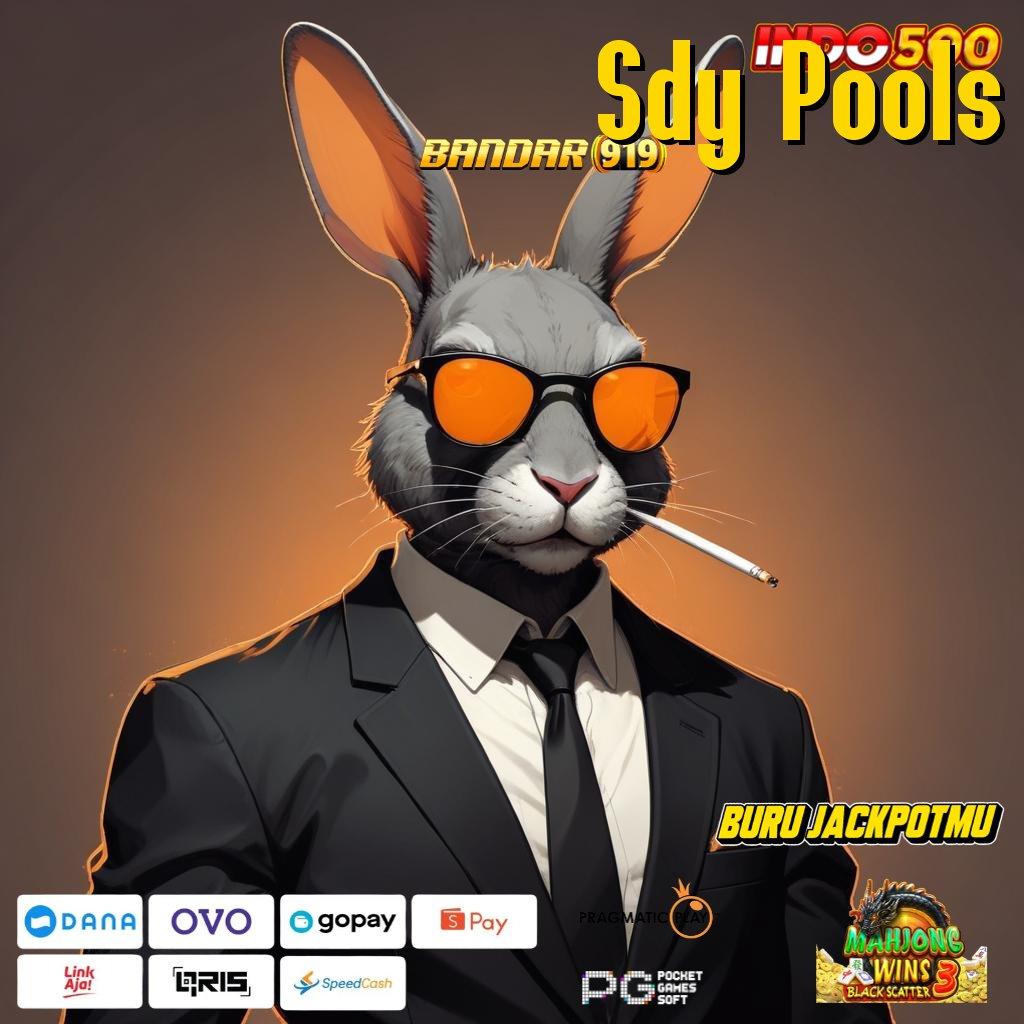 Sdy Pools