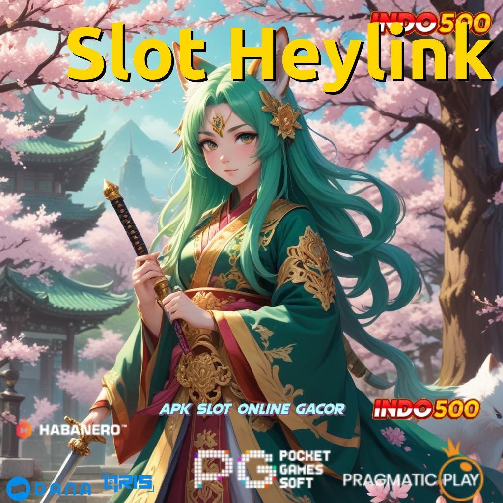 Slot Heylink